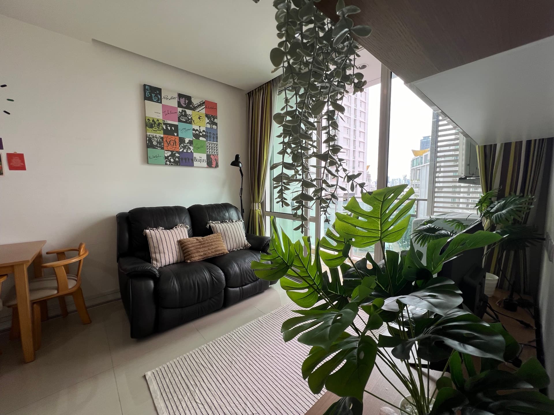 Living room filled with plants and daylight